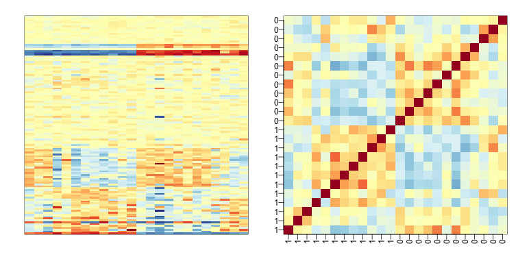 Image of subset gene expression data (left) and image of correlations for this dataset (right).