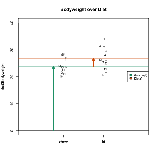 Estimated linear model coefficients for bodyweight data illustrated with arrows.